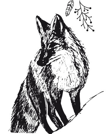 Рассказы о животных. С вопросами и ответами для почемучек - i_017.jpg