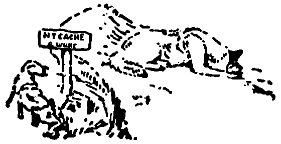 Рольф в лесах - pic020.png