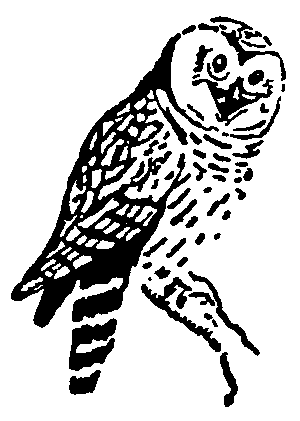 Рольф в лесах - pic034.png