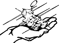 Большая книга привлечения денег - i_004.png