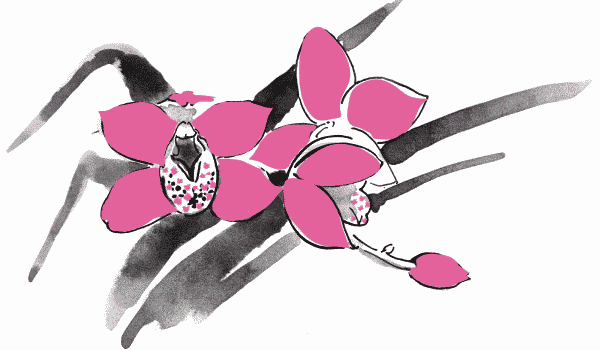 Любовь  - чудесная страна - i_005.png