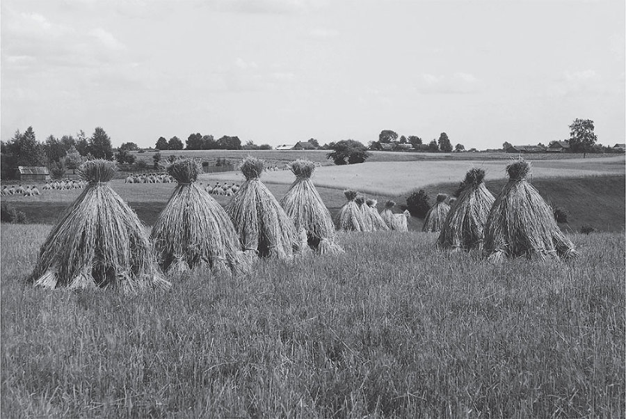 «Душа грустит о небесах…» Стихотворения и поэмы - i_022.jpg