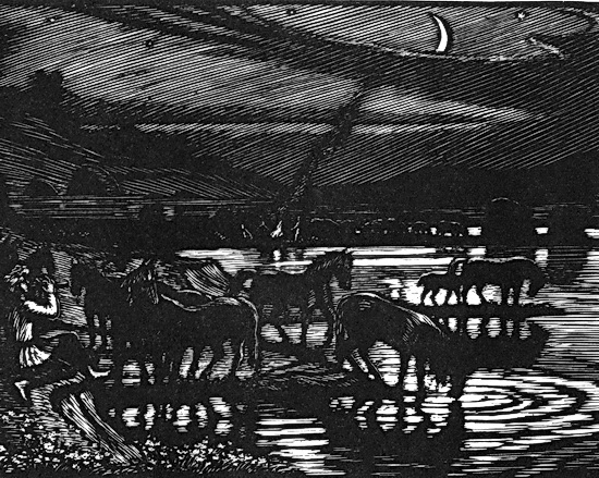 Стихотворения. Поэмы - i_003.jpg