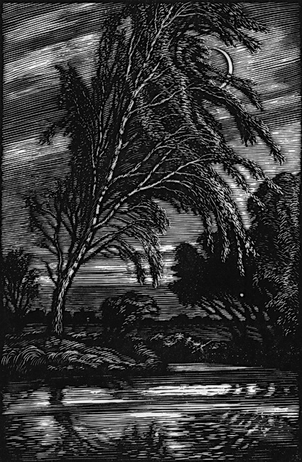 Стихотворения. Поэмы - i_005.jpg