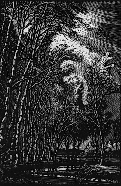 Стихотворения. Поэмы - i_007.jpg