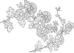 Я обманывать себя не стану… - i_024.png