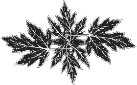 Я обманывать себя не стану… - i_040.png