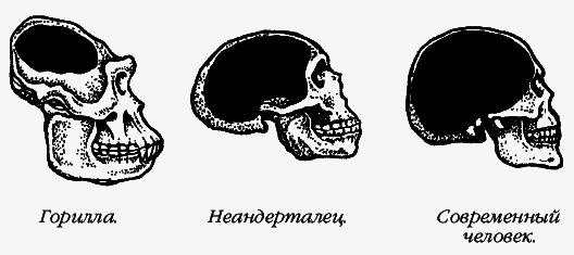 Как заставить мужчину слушать, а женщину молчать. Почему мы такие разные, но так нужны друг другу - _063.png