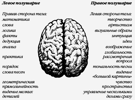 Как заставить мужчину слушать, а женщину молчать. Почему мы такие разные, но так нужны друг другу - _068.png