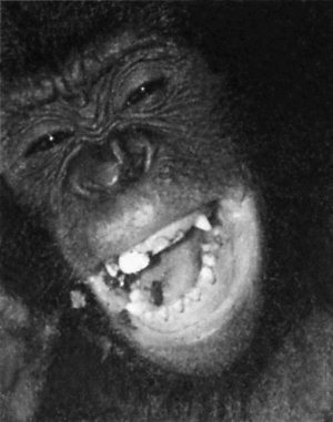 Новый язык телодвижений. Расширенная версия - i_061.jpg