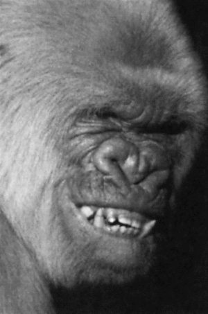 Новый язык телодвижений. Расширенная версия - i_062.jpg