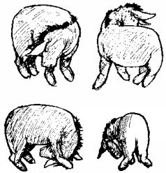 Винни Пух и Все-Все-Все - pic6.jpg