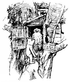 Винни Пух и Все-Все-Все - pic7.jpg