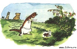 Винни-Пух и Все-Все-Все - i_063.jpg