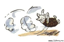 Винни-Пух и Все-Все-Все - i_069.jpg