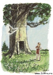 Винни-Пух и Все-Все-Все - i_098.jpg