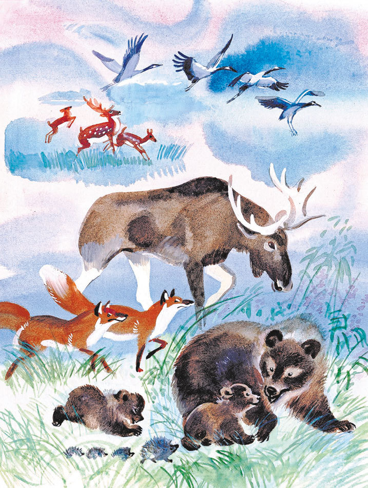 Алёнушкины сказки (сборник) - i_018.jpg