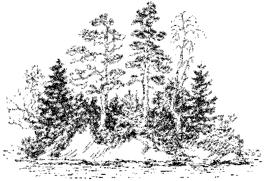 Клуб Колумбов - i_032.png