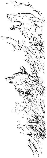 Клуб Колумбов - i_064.png