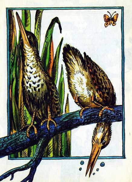 Кто чем поет? - i_005.jpg