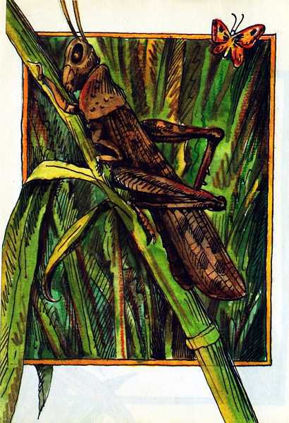 Кто чем поет? - i_011.jpg