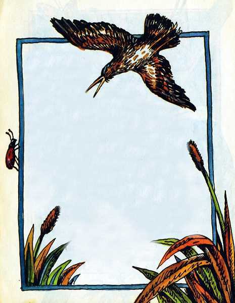 Кто чем поет? - i_012.jpg