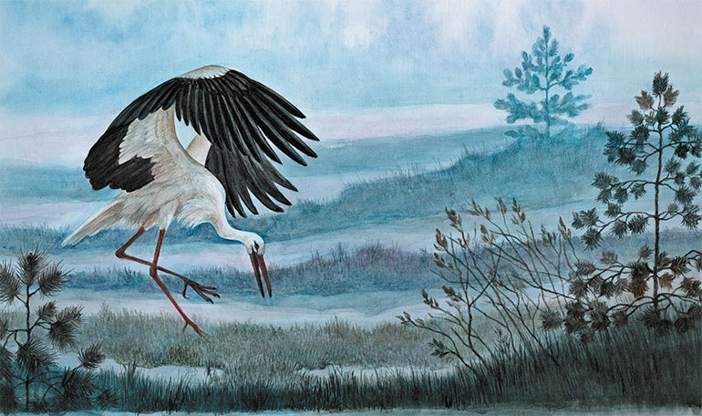 Лесные разведчики (сборник) - i_005.jpg