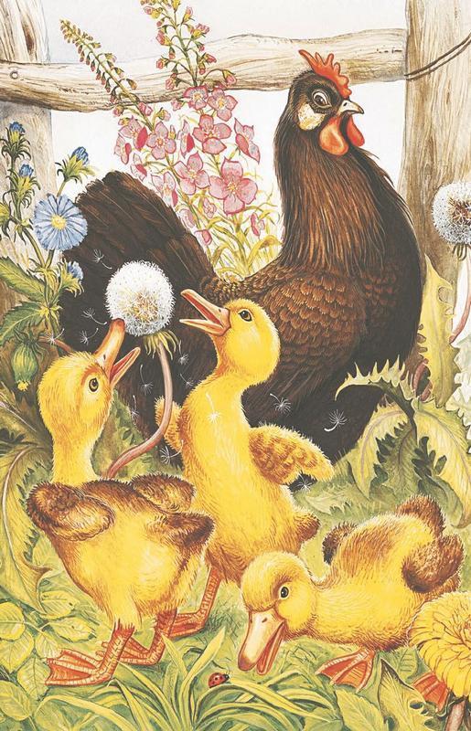 Лесные рассказы - i_019.jpg