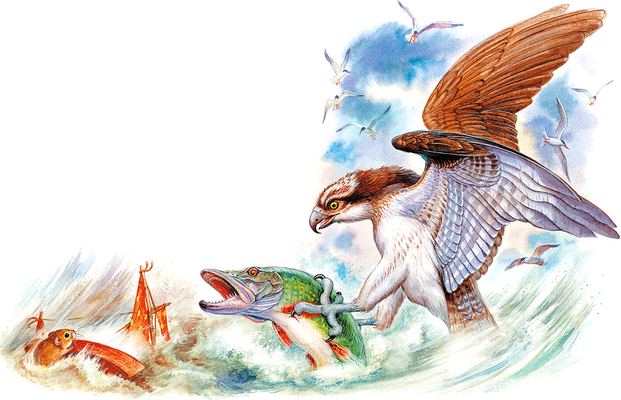 Мышонок Пик и другие сказки - i_004.png