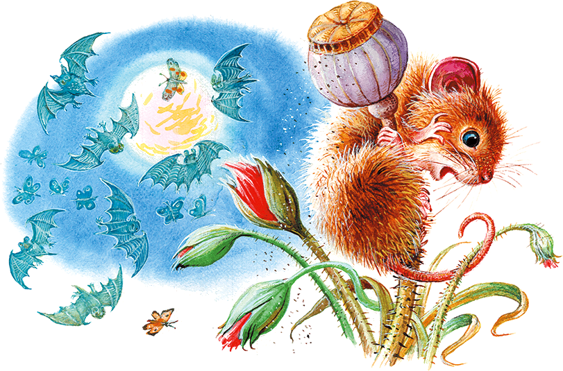 Мышонок Пик и другие сказки - i_005.png