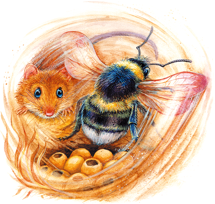 Мышонок Пик и другие сказки - i_013.png