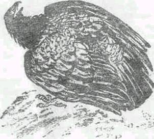 Повести и рассказы - i_011.jpg