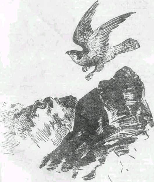 Повести и рассказы - i_014.jpg