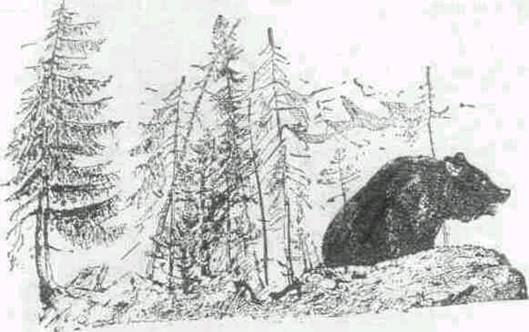 Повести и рассказы - i_018.jpg