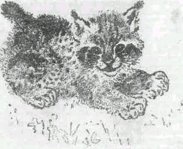 Повести и рассказы - i_024.jpg