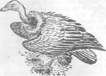 Повести и рассказы - i_029.jpg