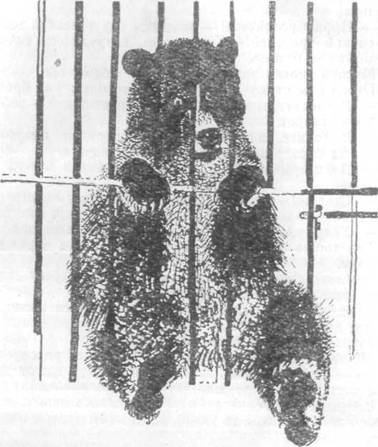 Повести и рассказы - i_031.jpg