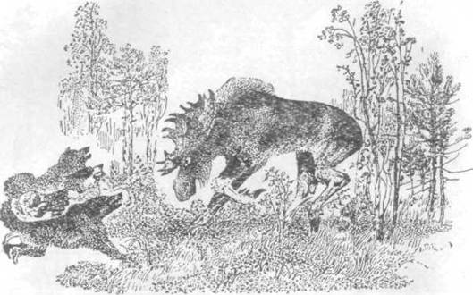 Повести и рассказы - i_040.jpg