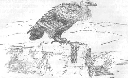 Повести и рассказы - i_107.jpg