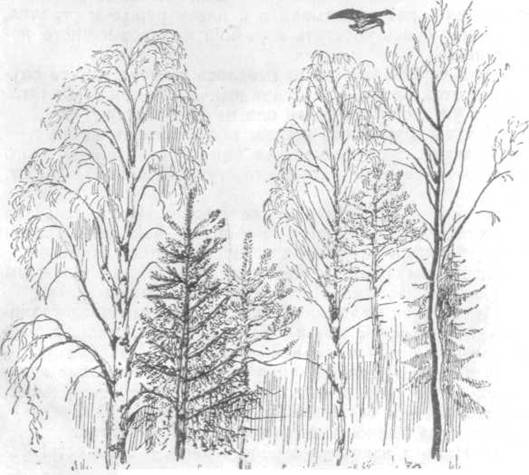 Повести и рассказы - i_129.jpg