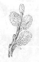 Повести и рассказы - i_131.jpg