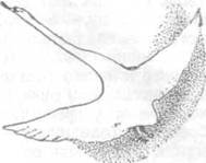 Повести и рассказы - i_135.jpg