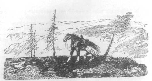 Повести и рассказы - i_136.jpg