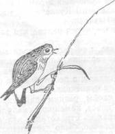 Повести и рассказы - i_140.jpg