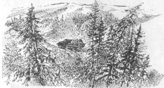 Повести и рассказы - i_145.jpg