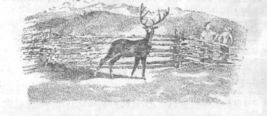 Повести и рассказы - i_146.jpg