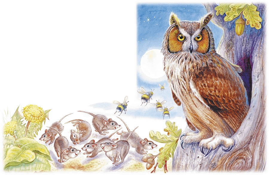 Приключение Муравьишки (сборник) - i_002.png