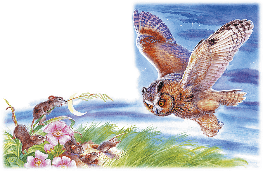 Приключение Муравьишки (сборник) - i_004.png