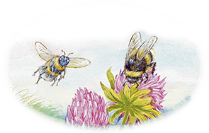 Приключение Муравьишки (сборник) - i_006.png