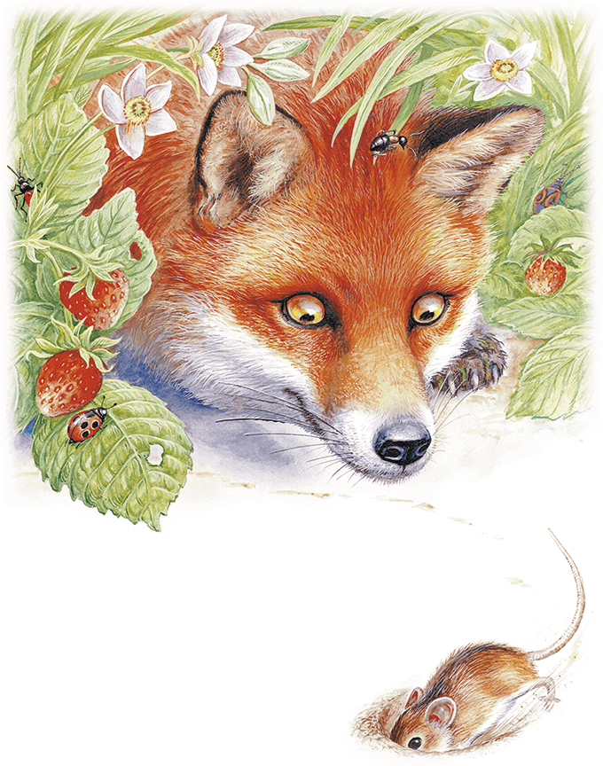 Приключение Муравьишки (сборник) - i_007.png